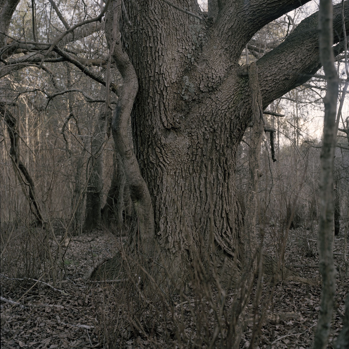 Play020.jpg