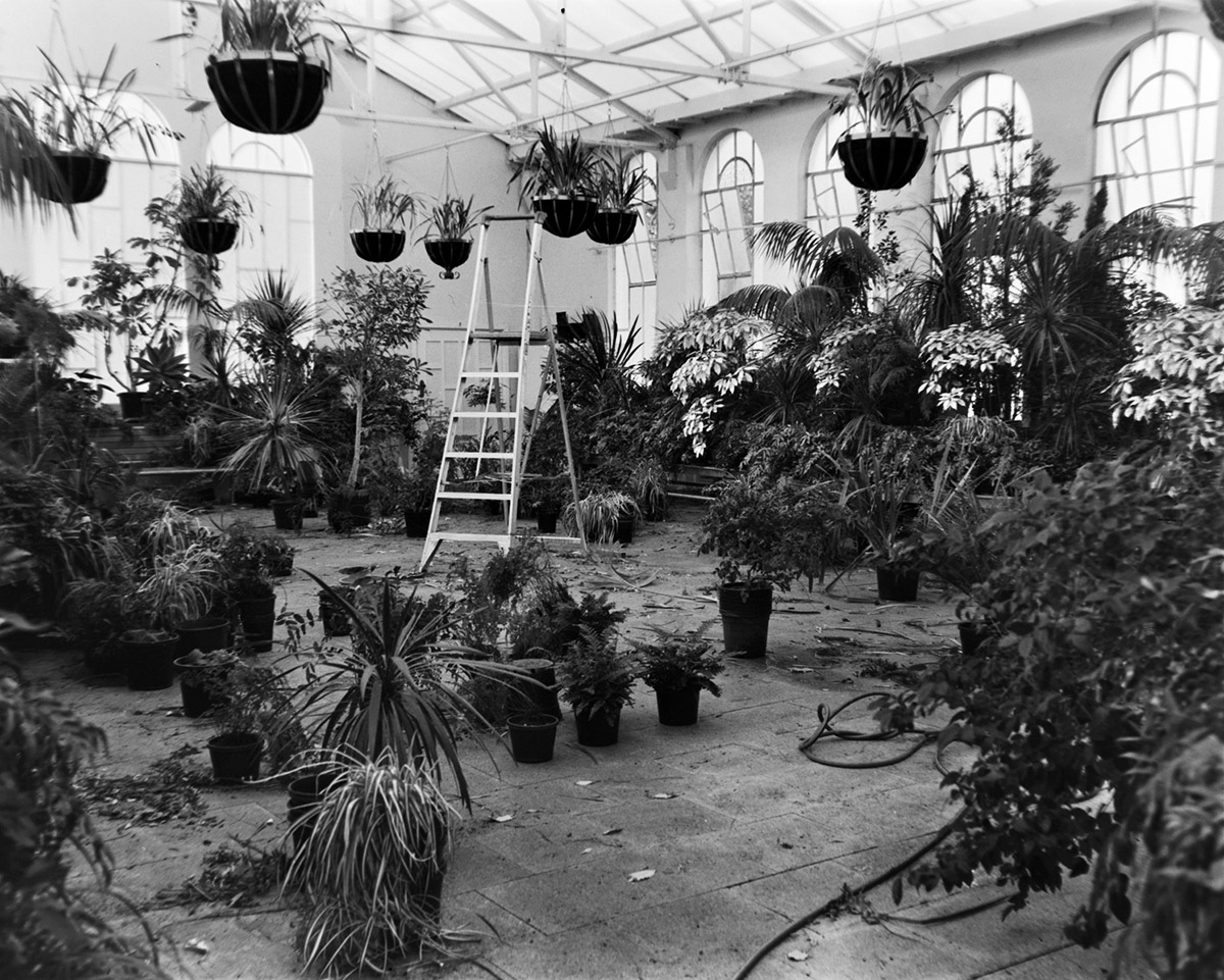 The Conservatory, 2018