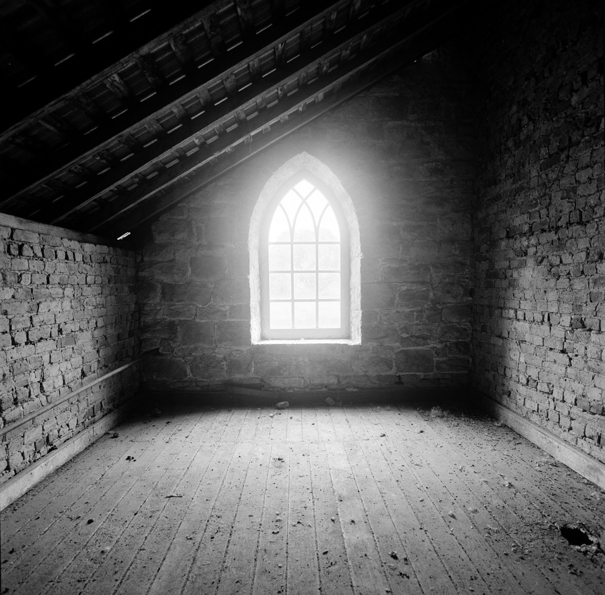Window_II.jpg